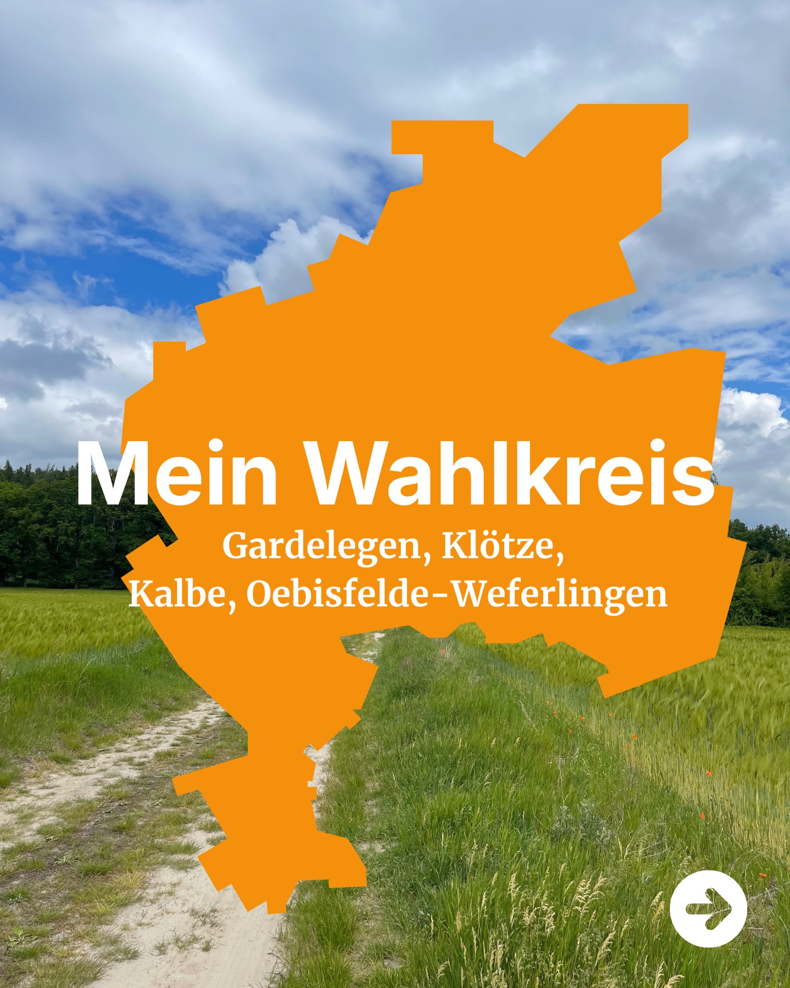 🌳 Mein Wahlkreis, meine Heimat ✨