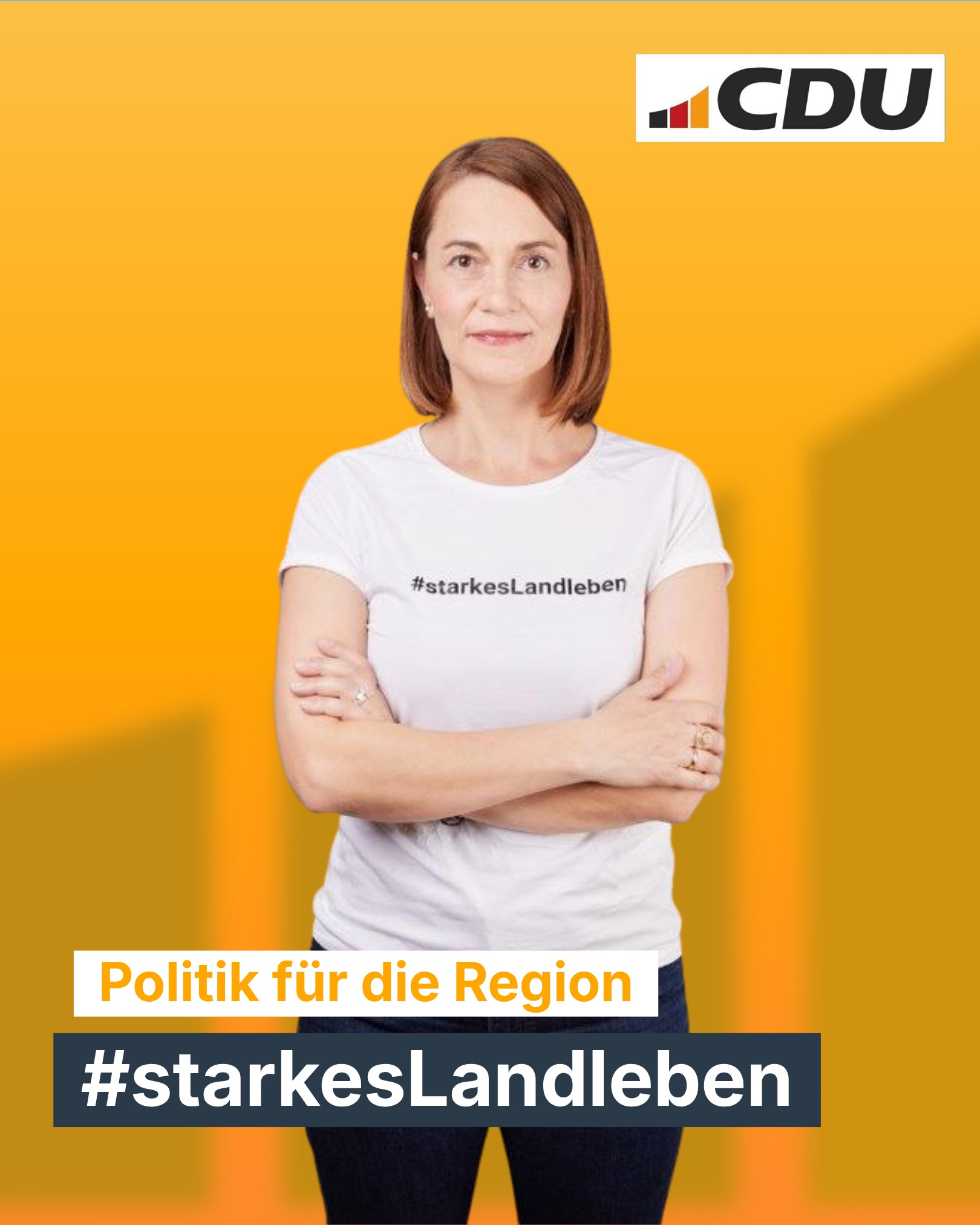 🌿 Meine Ziele für den ländlichen Raum - für meinen Wahlkreis 🌲
